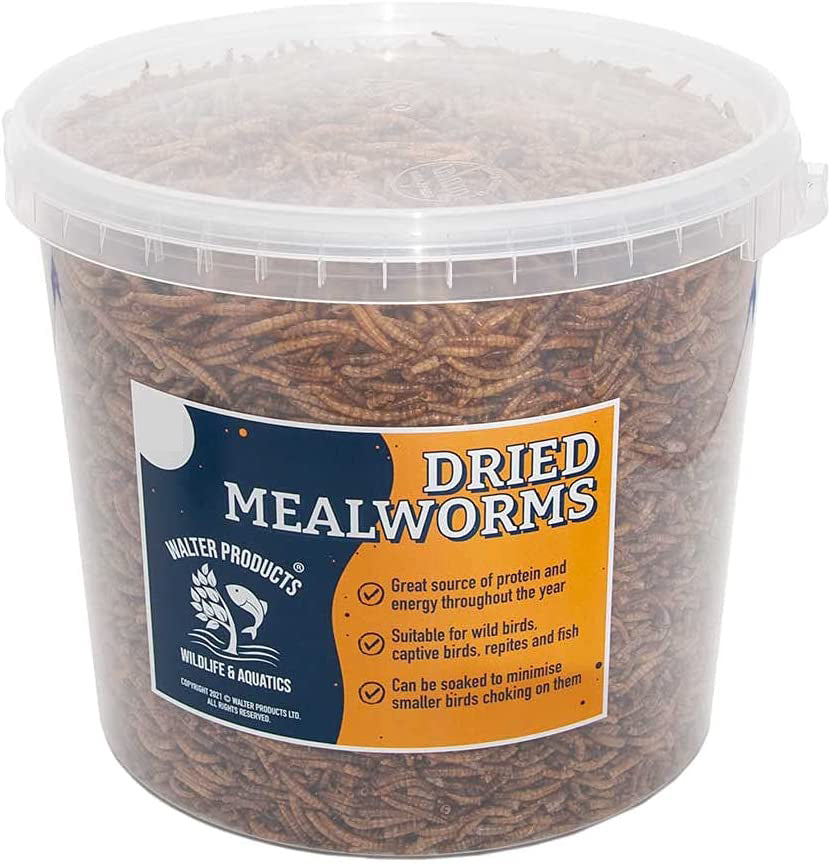 2LB Non-GMO High Protein Black Soldier Fly Larvae Botswana 2LB Non-GMO High Protein Black Soldier Fly Larvae Botswana
