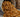 walter-products-calci-worms-birds