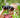 RSPB Big Garden Birdwatch 2026