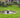 maximising-garden-potential