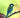 Mealworms vs Calci Worms: Which Is Better for Garden Birds?