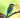Mealworms vs Calci Worms: Which Is Better for Garden Birds?