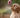 Natural Dog Treats: Why What's Not in Them Matters Just as Much as What Is
