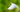 feeding-garden-birds-wildlife-autumn-2024