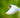 feeding-garden-birds-wildlife-autumn-2024