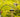 feeding-garden-birds-autumn-calciworms
