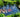 summer-garden-pond-fish-tips