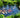 summer-garden-pond-fish-tips