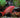 tropical-fish-food-online