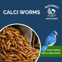 Walter's Calci Worms