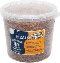 Walter’s Mealworms