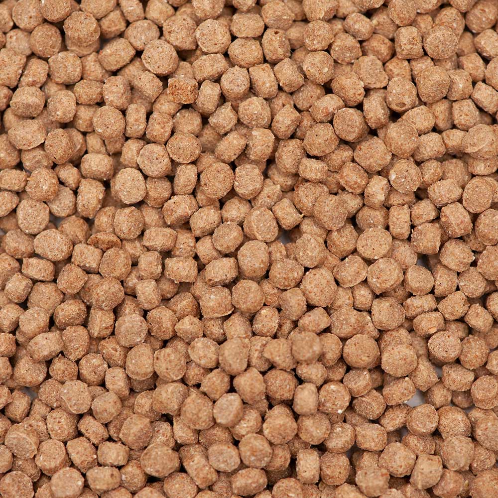 Walters Wheatgerm Pond Fish Food Pellets